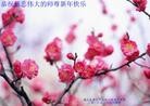 Published on 2/8/2016 ���ֹ�,��½�󷨵��ӹ�ףʦ������(40��)
