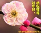 ֹ,󷨵ӹףʦ(24)
