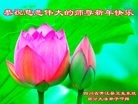 Published on 2/7/2016 ���ֹ�,��½�󷨵��ӹ�ףʦ������(33��)
