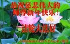 Published on 2/7/2016 ���ֹ�,��½�󷨵��ӹ�ףʦ������(33��)
