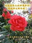 Published on 2/8/2016 ���ֹ�,��½�󷨵��ӹ�ףʦ�������(31��)
