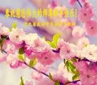 Published on 2/8/2016 ���ֹ�,��½�󷨵��ӹ�ףʦ�������(31��)
