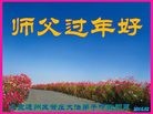 Published on 2/8/2016 ���ֹ�,��½�󷨵��ӹ�ףʦ������(26��)

