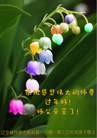 Published on 2/8/2016 ���ֹ�,��½�󷨵��ӹ�ףʦ������(26��)
