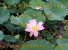 Published on 2/8/2016 ���ֹ�,��½�󷨵��ӹ�ףʦ������(26��)
