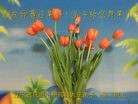 Published on 2/8/2016 ���ֹ�,��½�󷨵��ӹ�ףʦ������(26��)
