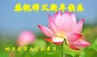 Published on 2/8/2016 ���ֹ�,��½�󷨵��ӹ�ףʦ������(26��)
