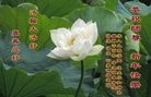 Published on 2/8/2016 ���ֹ�,��½�󷨵��ӹ�ףʦ������(26��)
