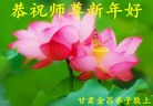 Published on 2/8/2016 ���ֹ�,��½�󷨵��ӹ�ףʦ������(40��)
