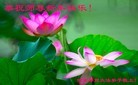 Published on 2/8/2016 ���ֹ�,��½�󷨵��ӹ�ףʦ������(34��)
