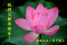 Published on 2/7/2016 ���ֹ�,��½�󷨵��ӹ�ףʦ������(27��)
