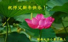 Published on 2/7/2016 ���ֹ�,��½�󷨵��ӹ�ףʦ������(27��)
