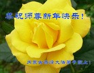 Published on 2/8/2016 ���ֹ�,��½�󷨵��ӹ�ףʦ������(40��)
