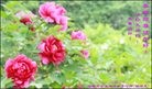Published on 2/7/2016 ���ֹ�,��½�󷨵��ӹ�ףʦ������(27��)
