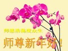 Published on 2/7/2016 ���ֹ�,��½�󷨵��ӹ�ףʦ������(27��)
