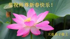 Published on 2/7/2016 ���ֹ�,��½�󷨵��ӹ�ףʦ������(27��)
