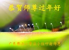 Published on 2/8/2016 ���ֹ�,��½�󷨵��ӹ�ףʦ������(26��)
