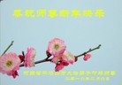 Published on 2/8/2016 ���ֹ�,��½�󷨵��ӹ�ףʦ������(40��)
