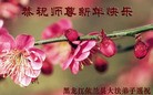 Published on 2/8/2016 ���ֹ�,��½�󷨵��ӹ�ףʦ������(26��)
