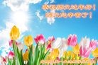Published on 2/8/2016 ���ֹ�,��½�󷨵��ӹ�ףʦ������(26��)
