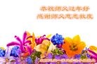 Published on 2/8/2016 ���ֹ�,��½�󷨵��ӹ�ףʦ������(26��)
