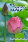 Published on 2/8/2016 ���ֹ�,��½�󷨵��ӹ�ףʦ������(29��)
