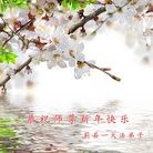 Published on 2/7/2016 ���ֹ�,��½�󷨵��ӹ�ףʦ������(27��)
