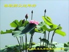 Published on 2/7/2016 ���ֹ�,��½�󷨵��ӹ�ףʦ������(27��)
