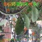 Published on 2/9/2016 ���ֹ�,��½�󷨵��ӹ�ףʦ������(41��)

