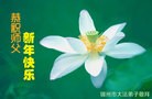 Published on 2/8/2016 ���ֹ�,��½�󷨵��ӹ�ףʦ������(38��)
