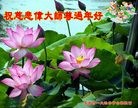 Published on 2/8/2016 ���ֹ�,��½�󷨵��ӹ�ףʦ������(29��)
