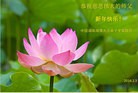 ֹ,ϴ󷨵ӹףʦ(27)

