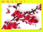 Published on 2/8/2016 ���ֹ�,��½�󷨵��ӹ�ףʦ������(42��)
