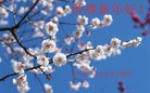 Published on 2/8/2016 ���ֹ�,��½�󷨵��ӹ�ףʦ������(26��)
