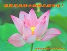 Published on 2/8/2016 ���ֹ�,��½�󷨵��ӹ�ףʦ������(26��)
