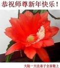 Published on 2/8/2016 ���ֹ�,��½�󷨵��ӹ�ףʦ������(26��)
