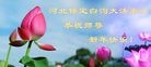 Published on 2/8/2016 ���ֹ�,��½�󷨵��ӹ�ףʦ������(26��)
