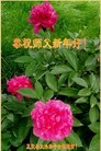 Published on 2/8/2016 ���ֹ�,��½�󷨵��ӹ�ףʦ������(26��)
