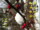 Published on 2/7/2016 ���ֹ�,��½�󷨵��ӹ�ףʦ������(27��)
