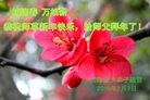 Published on 2/8/2016 ���ֹ�,��½�󷨵��ӹ�ףʦ������(26��)
