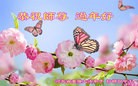 Published on 2/8/2016 ���ֹ�,��½�󷨵��ӹ�ףʦ�������(31��)
