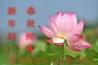 Published on 2/8/2016 ���ֹ�,��½�󷨵��ӹ�ףʦ�������(31��)
