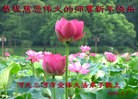 Published on 2/9/2016 ���ֹ�,��½�󷨵��ӹ�ףʦ������(41��)
