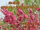 Published on 2/7/2016 ���ֹ�,��½�󷨵��ӹ�ףʦ������(27��)
