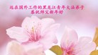 Published on 2/7/2016 ���ֹ�,��½�󷨵��ӹ�ףʦ������(27��)
