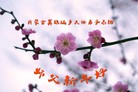 Published on 2/8/2016 ���ֹ�,��½�󷨵��ӹ�ףʦ������(38��)
