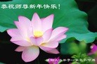 Published on 2/7/2016 ���ֹ�,��½�󷨵��ӹ�ףʦ������(27��)
