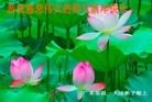 Published on 2/7/2016 ���ֹ�,��½�󷨵��ӹ�ףʦ������(27��)

