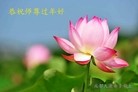 Published on 2/9/2016 ���ֹ�,��½�󷨵��ӹ�ףʦ������(43��)
