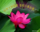 Published on 2/9/2016 ���ֹ�,��½�󷨵��ӹ�ףʦ������(41��)
